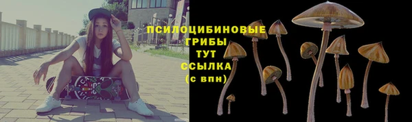 таблы Алексеевка
