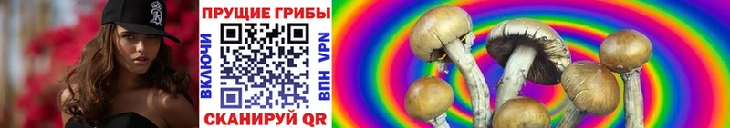 Галлюциногенные грибы прущие грибы  купить   Новокубанск 