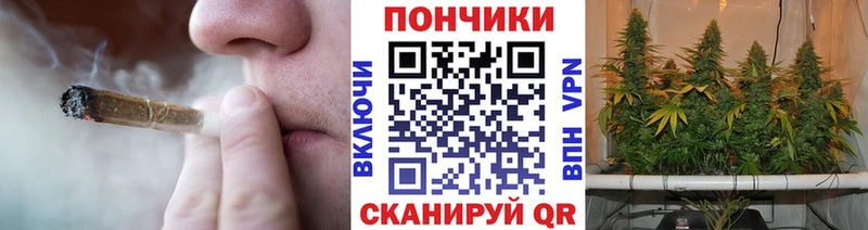 Каннабис конопля  Новокубанск 